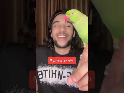 اهداء الى جوري علي فؤاد ببغاء ببغاء متكلم تريند ترند Alifouad كوميدي كوميديان كوميديا
