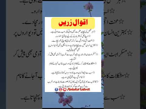 Aqwal E Zereen اقوال زریں Aqwalezareen Aqwal E Zareen