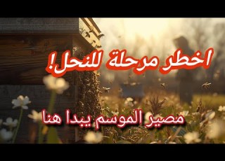  إدارة المناحل في نهاية الشتاء وبداية الربيع أخطر مرحلة في تربية النحل بالعالم العربي