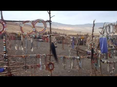 Masai Boma In Ngorongoro