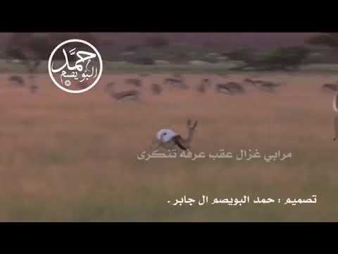 شيله سرى البارق اللي له زمانين ماسرى كلمات المرحوم سليمان الشريم اداء عناد المري Mp3