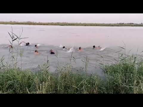 موش انا بلموت اتهدد شيخوفه الي يقلد محمد جاهزونهاك تفضل يعني شوف الزلم هاي