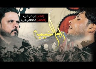 مرتضى حرب Ll زلم النيبه Ll محرم 2019
