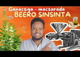  MASHRUUCA SINSINTA OGAADA SOMALI SESAME INDUSTRY IS 300 MILLION