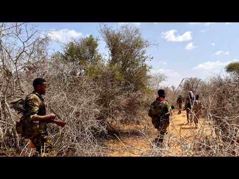 Hiranweyn Nachtnachrichten 13 03 2026