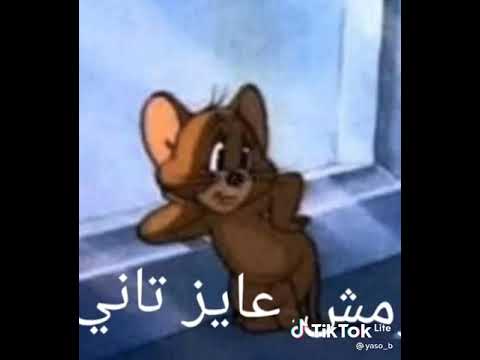 احلي اغنيه يالي زعلان منى ومخصمني ومش عايز تاني تكلمني