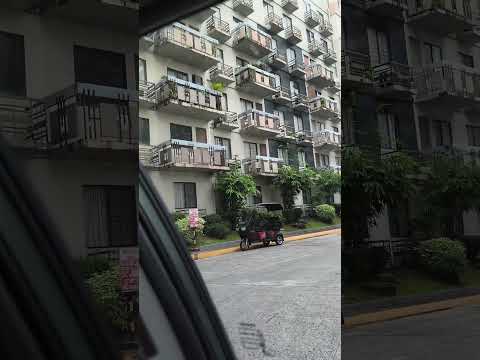 Asiatische Enklave YONON OFFICIAL Highlights Fyp You Rentacar Viral