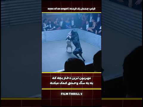 این سگ دوبرمن از یه سگ دیگه میبازه بخاطر همین صاحابش اونو توی رودخونه میندازه