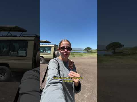 How Much Does Safari In Tanzania Cost