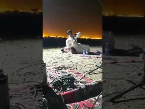 علي بن هادي ويشاركه علي شبيلي تبلايمينه عطايبي الي ضرب راعي الغره تباا يمينه عطايبي