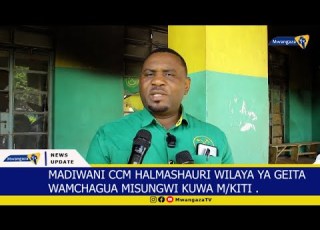 KAULI YA MISUNGWI NA MBUNGE ENG NTEMI BAADA YA MADIWANI KUCHAGUA M KITI HALMASHAURI YA GEITA