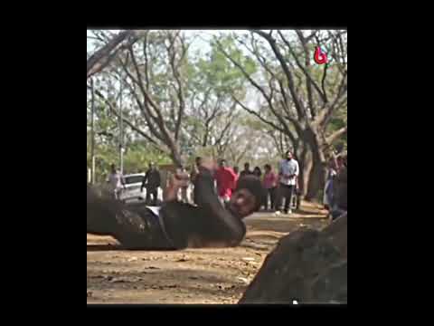 مسلسل على صدى الخلخال