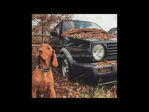 معزوفة ياني الشهيرة