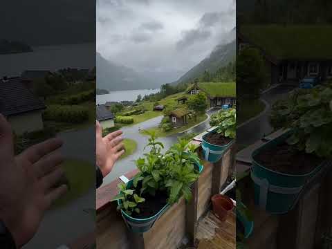 طلتك مثل الصبح شلالات اكسبلور