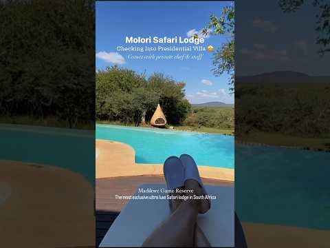 Molori Safari Lodge In Madikwe Game Reserve South Africa Shorts Southafrica Safari Luxurytravel
