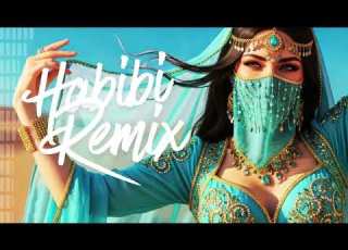 Habibi Love Remix Arabic Dance Party DJ Mix 2026