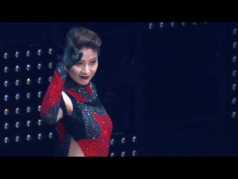 陈慧琳 世界巡迴演唱会 Kelly Let S Celebrate World Tour 2015 BluRay 1080P X264 DTS CMCT