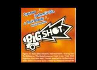  BIGSHOT ALL STARS 希望の轍 サザン カバー
