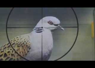 رماية أكثر دقة بتصحيح البارالا