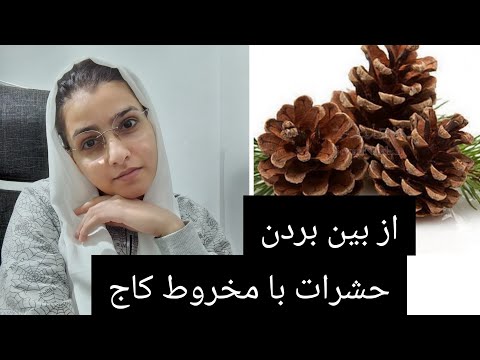 از بین بردن حشرات پرورش حلزون