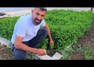 مافي اجمل من الزراعة وقت تزرع وتحصد بنفسك