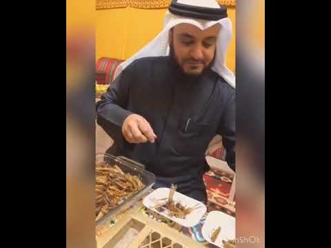 Mishary Alafasy Eating Locust مشاري العفاسي يأكل الجراد