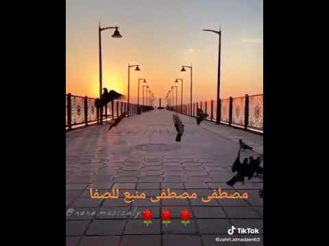 مصطفى مصطفى منبع الصفا حالات واتس