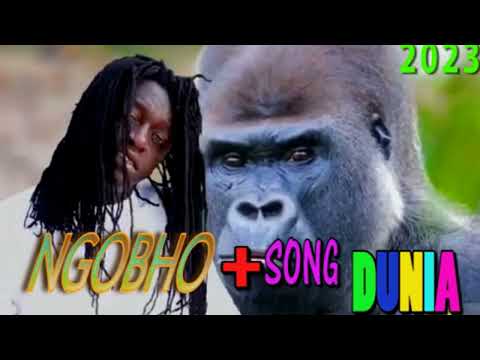 NGOBHO SONG DUNIA OFFICIAL AUDIO 203 4K Dir Kali Video Production 0747040959