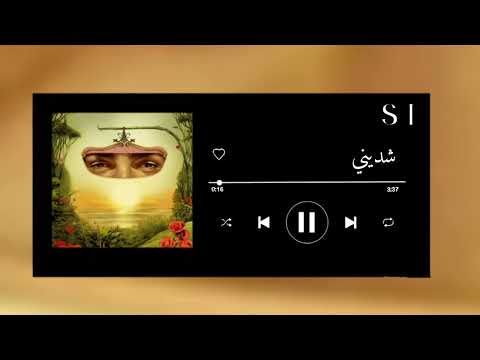 اغنية شديني بدون موسيقى تووليت