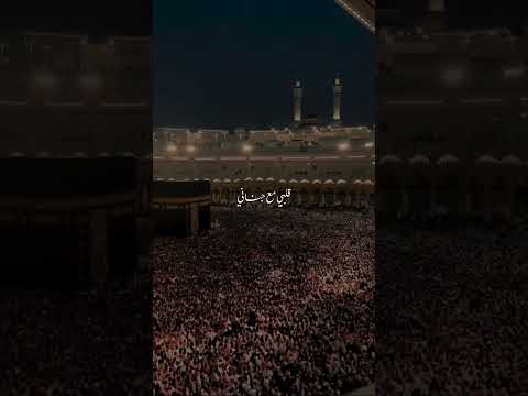 لما سار المركب نساني اخدوا قلبي مع جناني ياطيبة لما سار المركب نساني اخدوا قلبي مع جناني ياطيبة