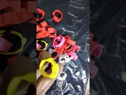 خواتم الدجاج للفرز القطيع