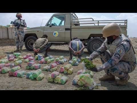 حرس الحدود يحبط تهريب 29 طنا من نبات القات المخدر