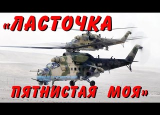  Ласточка пятнистая моя Николай Анисимов