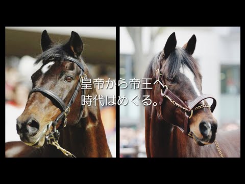 ドラマ ザ ロイヤルファミリー風に作ってみた 玉置浩二 ファンファーレ トウカイテイオー 1993年 第38回有馬記念 ドラマ ザ ロイヤルファミリー風に作ってみた 玉置浩二 ファンファーレ トウカイテイオー 1993年 第38回有馬記念