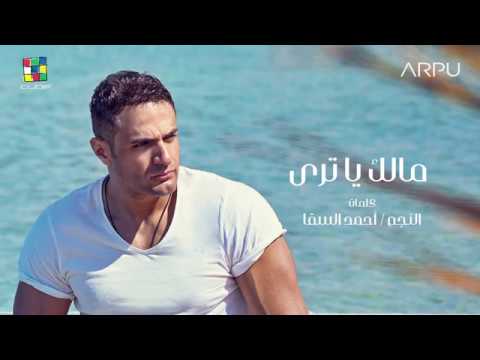 Mohamed Nour Malek Ya Tara Official Lyrics Video محمد نور مالك يا تري