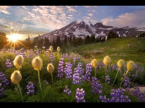 4k سورة البقرة كاملة للقارئ اسلام صبحى مع مناظر طبيعية رائعة Full HD Islam Sobhi Albaqara