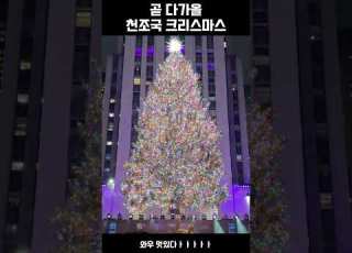 천조국 초대형 크리스마스 트리 유머 빵터짐 도파민 귀여워 요즘 대박 새로나온 밈 오늘의유머 꿀잼 짤 짤방 크리스마스트리 웃긴짤 겨울 눈 크리스마스