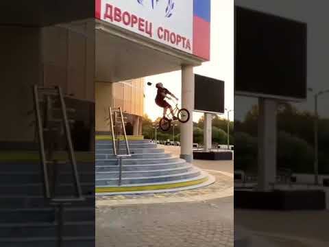 لما نستشهد بنروح الجنة Shorts