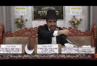 הרב מאיר אליהו כמו חיות ובהמות מוסאיוף ה תשפ ו