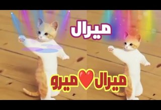 اغنية باسم ميرال ميرو اغنيه ميرال ميرال ميرال السعودية البحرين الجزائر العراق عمان تركيا جدة