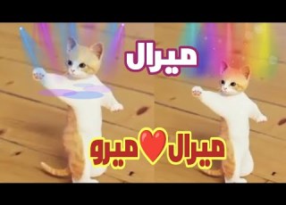  اغنية باسم ل ميرو اغنيه ل ل ل السعودية البحرين الجزائر العراق عمان الاردن جدة