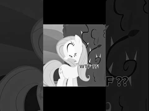Wtf Moments Mlp Mlp Mylittlepony Rainbowdash Fluttershy Rarity Viral Twilightsparkle Edit