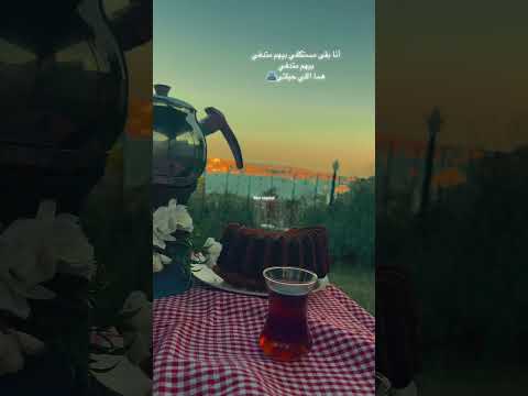 أنا مستكفي بيهم متدفي بيهم متدفيهما اللي حيلتي اللمة العيلة تصويري اسطنبول ستوريات بدون موسيقى أنا مستكفي بيهم متدفي بيهم متدفيهما اللي حيلتي اللمة العيلة تصويري اسطنبول ستوريات بدون موسيقى