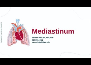 The Mediastinum Samhar Alouch CVP 112