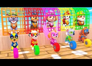 PAW Patrol Guess The Right Door ESCAPE ROOM CHALLENGE Animals Tire Game Cow Mammoth Elephant Tiger