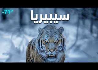  سيبيريا أبرد وأكثر أرض غامضة على وجه الأرض وثائقي 4K