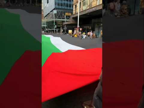 فلسطين وطنا رفرف رفرف يا علمنا فلسطين غزة الجزائر Shorts Shortvideo Trending Foryo Fyp