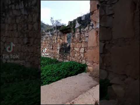 اربد من وحي التراث