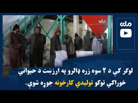 لوګر کې د ۲ سوه زره ډالرو په ارزښت د حیواني خوراکي توکو تولیدي کارخونه جوړه شوې