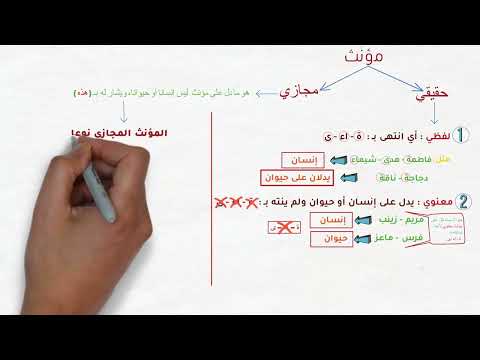 المذكر والمؤنث للصف الأول المتوسط المذكر والمؤنث